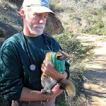 Catalina Island Fox with Naturalists 3