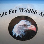 Institute for Wildlife Studies