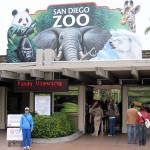 Cindy at the San Diego Zoo