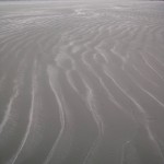 Patterns in the Sand