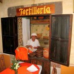 Tortilla Girl