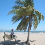 San Blas Horseman