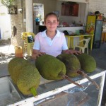 Breadfruit