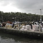 Santa Cruz Dock Scene..