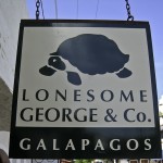 Lonesome George