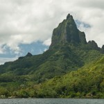 Sharks Tooth from Oponohu Bay