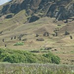 Moai Fields