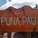 Puna Pau