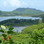 Views of Huahine