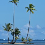 An Island to Oneself