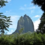 Sharks Tooth from the Belvedere