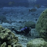 East Reef Underwater